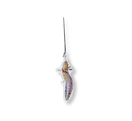 de Visvoer WebWinkel Sleutelhanger Axolotl (Ambystoma mexicanum)