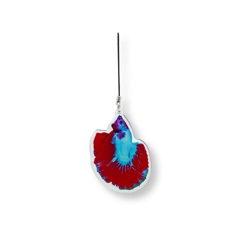 de Visvoer WebWinkel Sleutelhanger Betta splendens "Premium Selected"