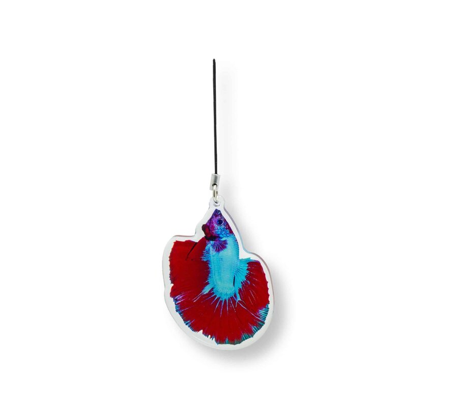 Sleutelhanger Betta splendens "Premium Selected"
