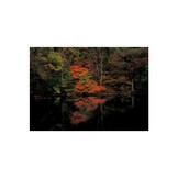 SADO To Primitive Forest from Bottom of Sea