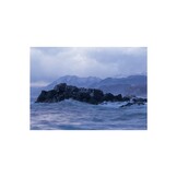 SADO To Primitive Forest from Bottom of Sea