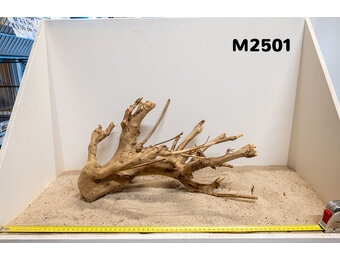 Talawa hout M (30-45cm)