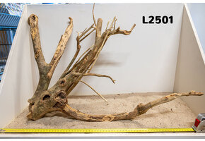 Talawa hout L (50-70cm)