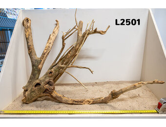 Talawa hout L (50-70cm)