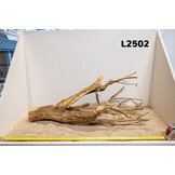 Talawa hout L (50-70cm)