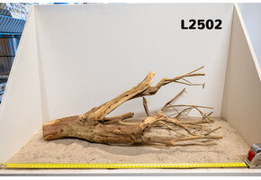 Talawa hout L (50-70cm)