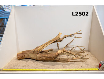 Talawa hout L (50-70cm)