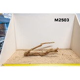 Talawa hout M (30-45cm)