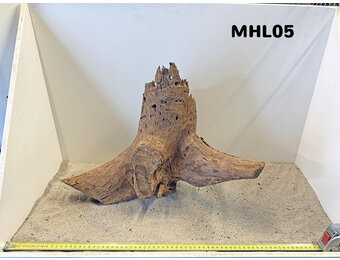 Mangrove hout L (35-60cm)