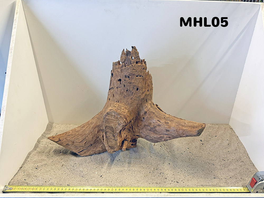 Mangrove hout L (35-60cm)