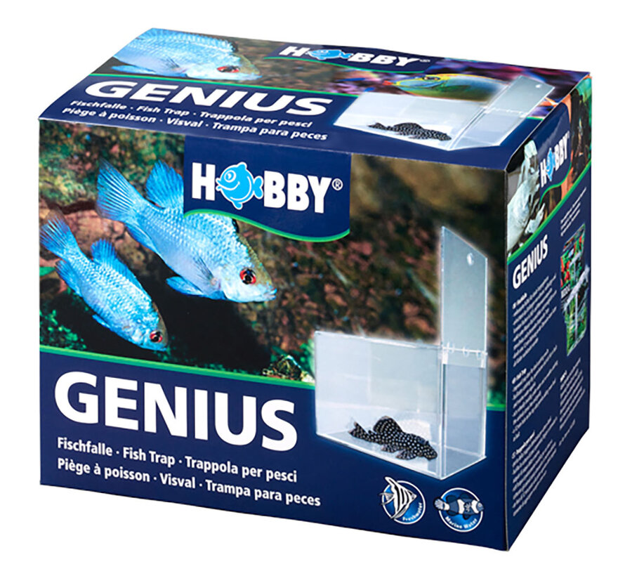 Hobby Genius visval