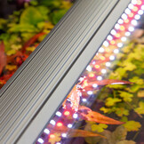 Aquatlantis EasyLED Universal ULTRA 600 19W + ORI controller