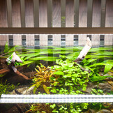 Aquatlantis EasyLED Universal ULTRA 600 19W + ORI controller