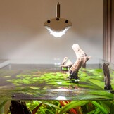 Aquatlantis EasyLED Universal ULTRA 1150 50W + ORI controller