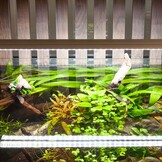 Aquatlantis EasyLED Universal ULTRA 1600 70W + ORI controller