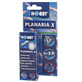 Hobby Planaria X - planaria val