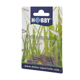 Hobby Planaria X Special Bait - lokaas