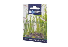 Hobby Planaria X Special Bait - lokaas