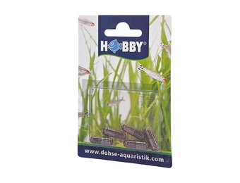 Hobby Planaria X Special Bait - lokaas