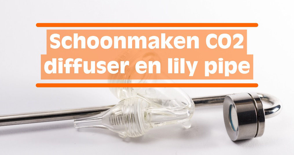 Schoonmaken CO2 diffuser en glazen lily pipe