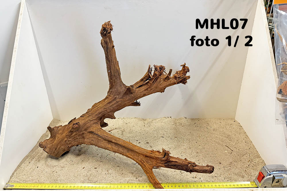 Mangrove hout L (35-60cm)