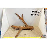 Mangrove hout L (35-60cm)