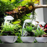 Chihiros Tiny Terrarium Egg 10W