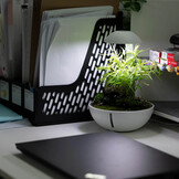 Chihiros Tiny Terrarium Egg 10W