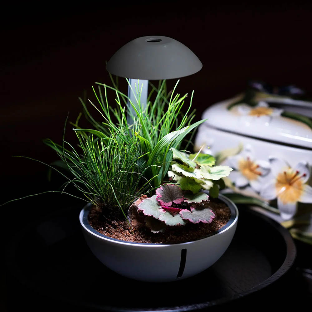 Chihiros Tiny Terrarium Egg 10W