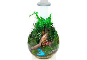 Chihiros Terrarium Kit - Magnetic Light + Standaard + Bowl
