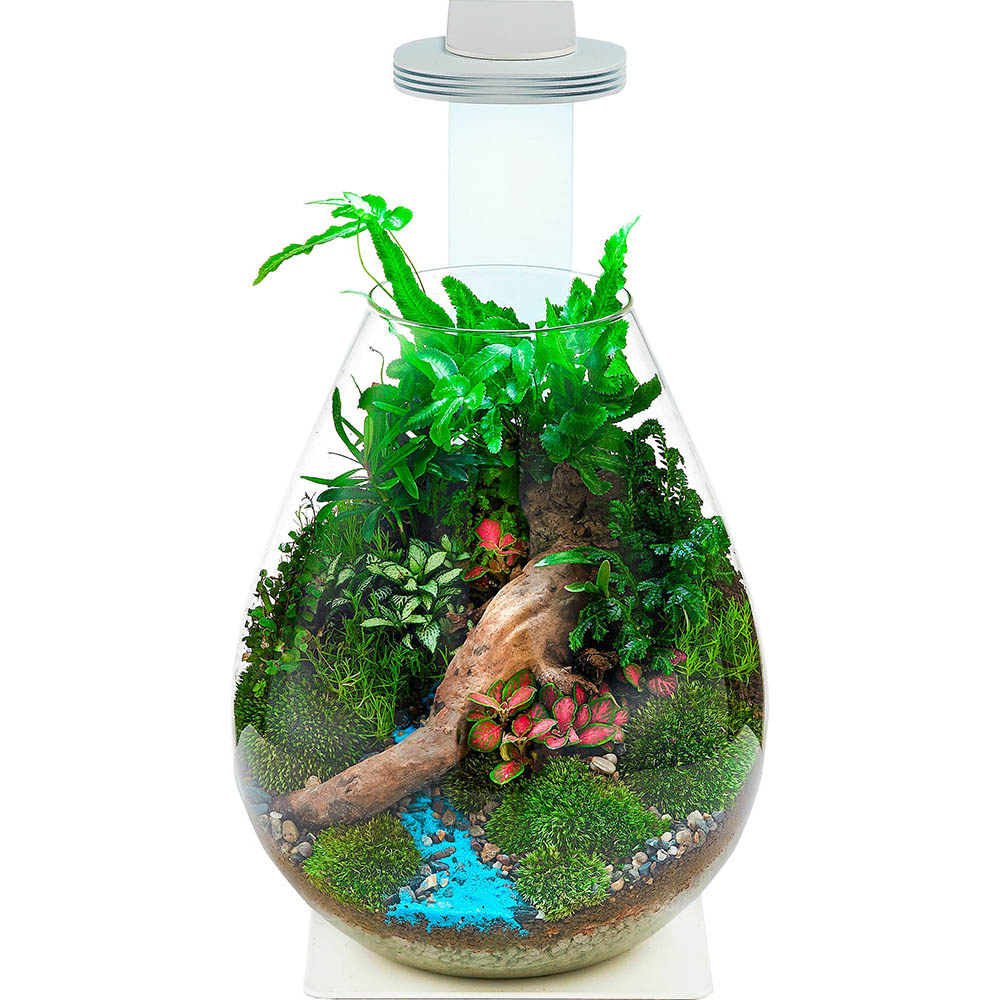 Chihiros Terrarium Kit - Magnetic Light + Standaard + Bowl