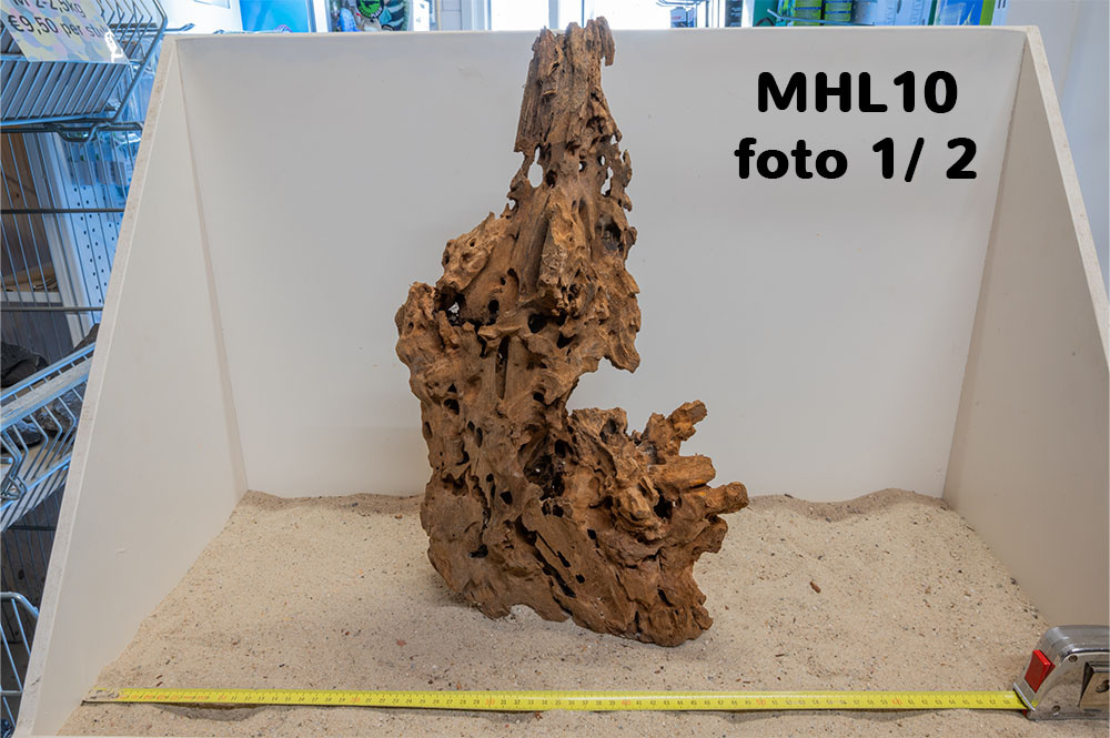 Mangrove hout L (35-60cm)