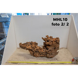 Mangrove hout L (35-60cm)