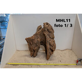 Mangrove hout L (35-60cm)