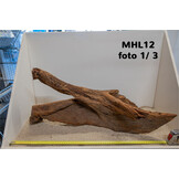 Mangrove hout L (35-60cm)