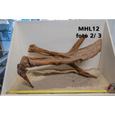 Mangrove hout L (35-60cm)