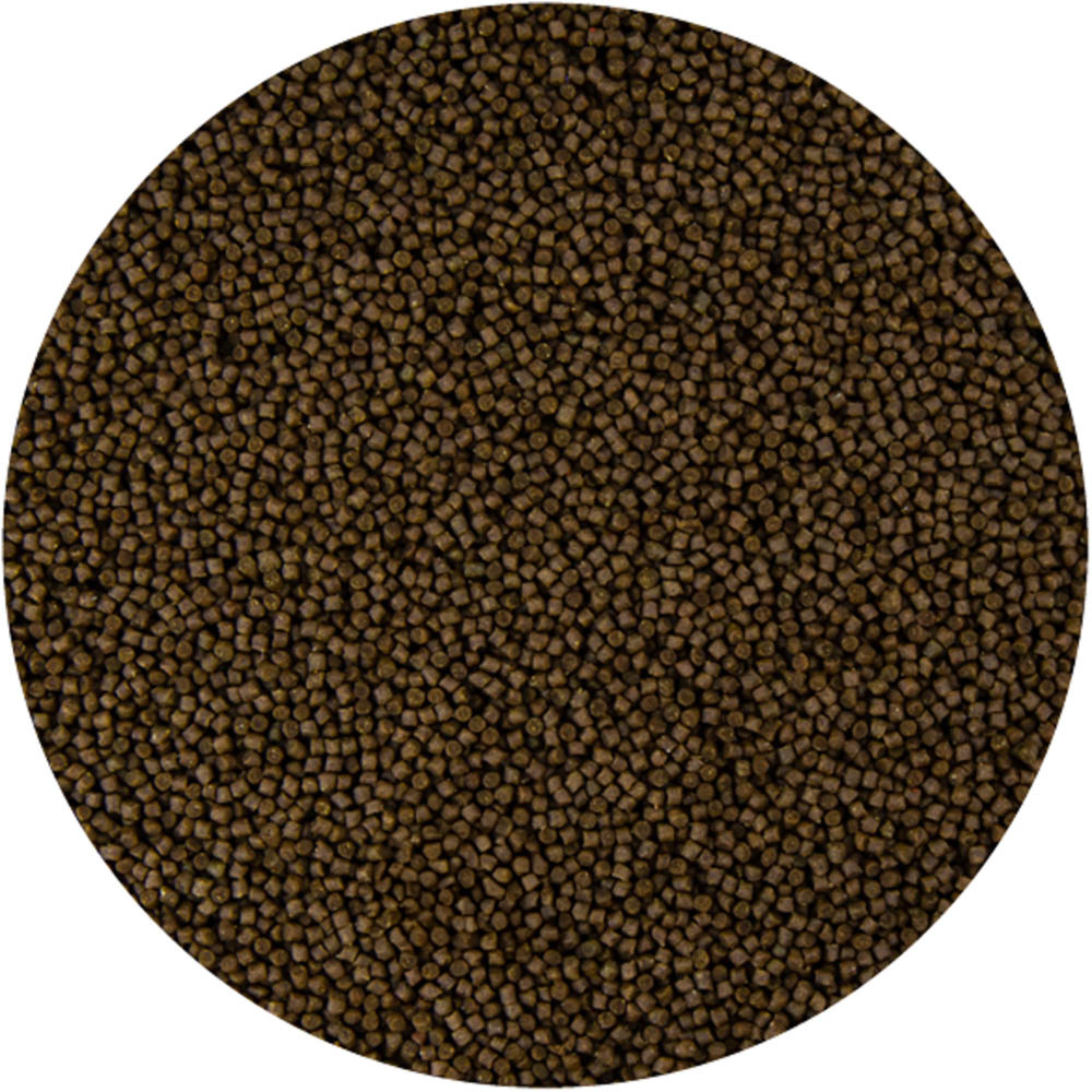 Tosai Grower 2mm - Fase 4