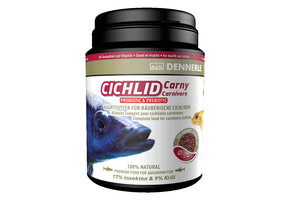 Dennerle Cichlid Carny