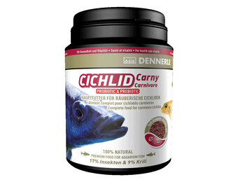 Dennerle Cichlid Carny