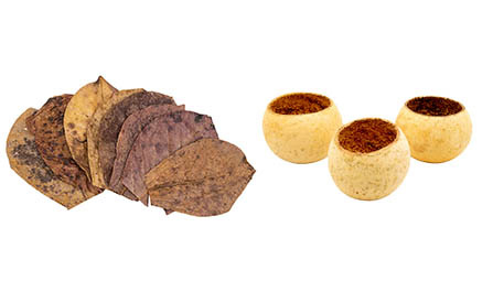 Aquaherbs