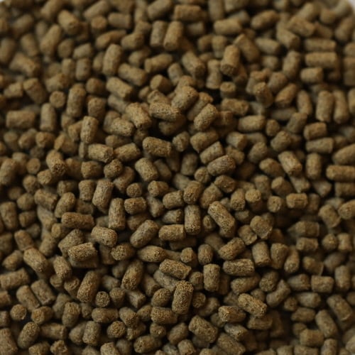 Dupla Rin Axolotl Snack