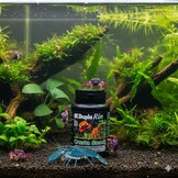 Dupla Rin Crusta Snack