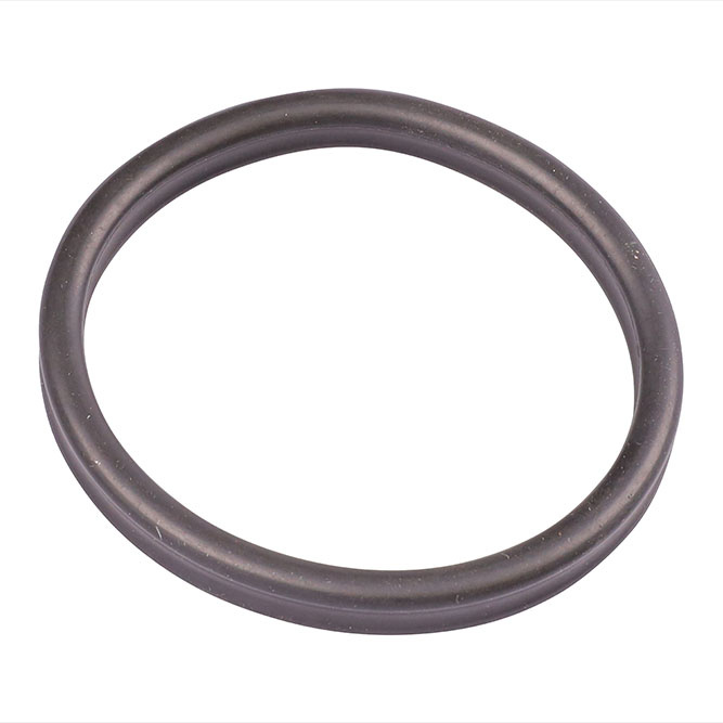 Oase Vervang dichting voorfilter BioMaster