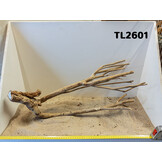 Talawa hout L (50-70cm)