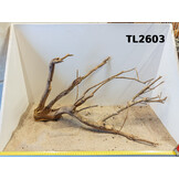 Talawa hout L (50-70cm)