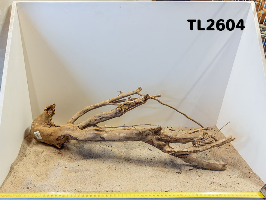 Talawa hout L (50-70cm)