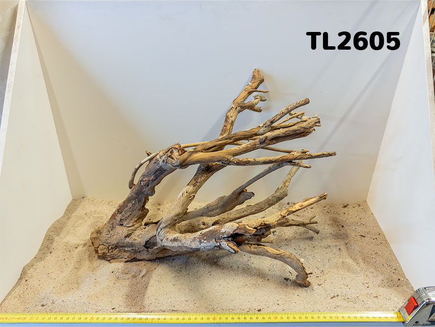 Talawa hout L (50-70cm)