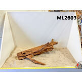 Mangrove hout L (35-60cm)