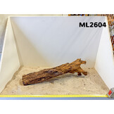 Mangrove hout L (35-60cm)