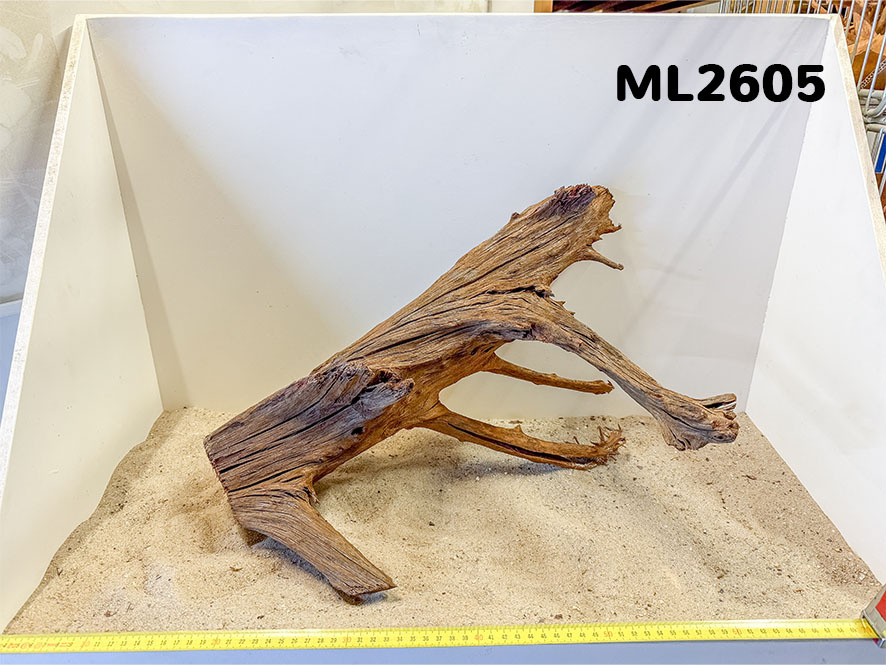 Mangrove hout L (35-60cm)